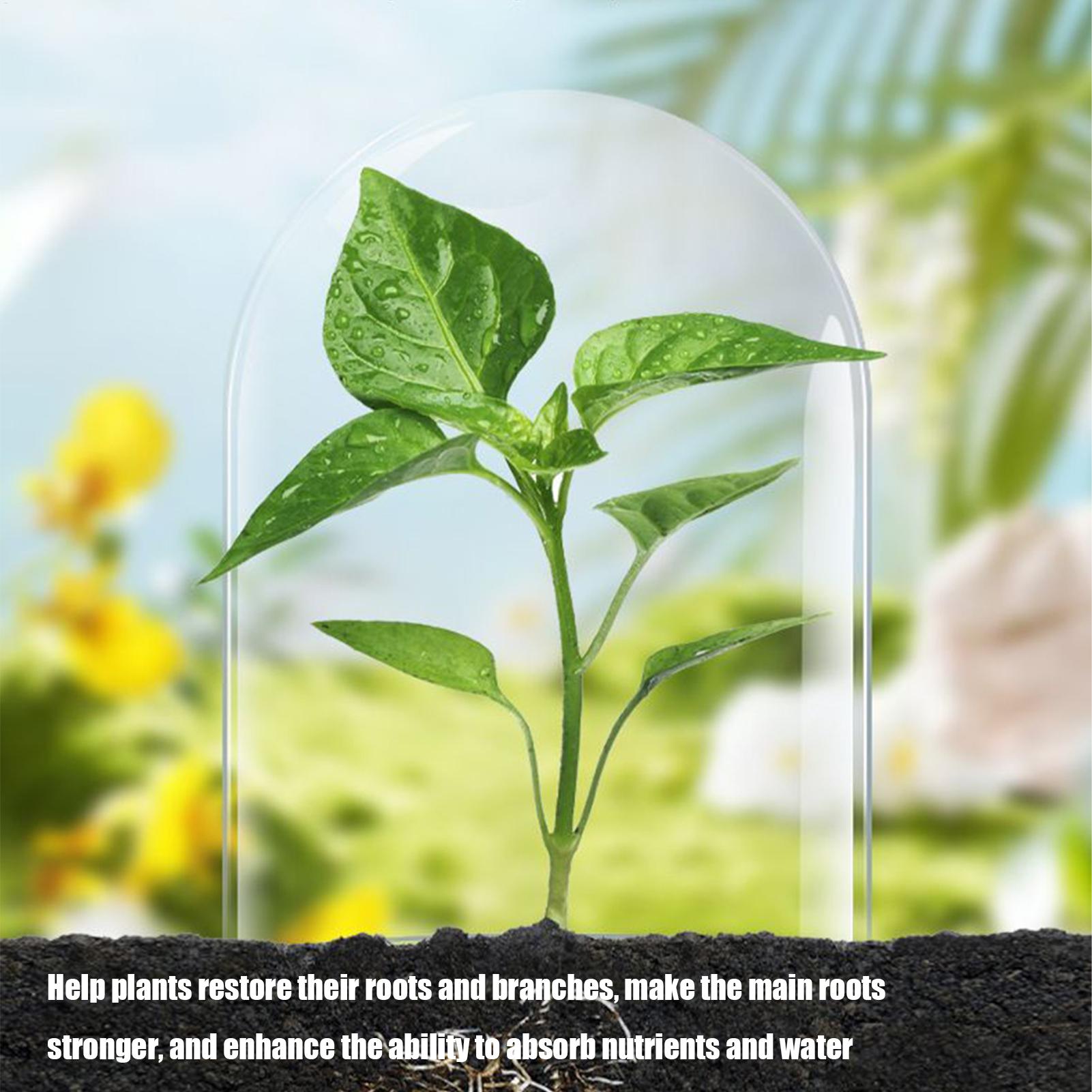 Root Stimulator for Plants Liq - Root Stimulator Liquid ulasan dan harga