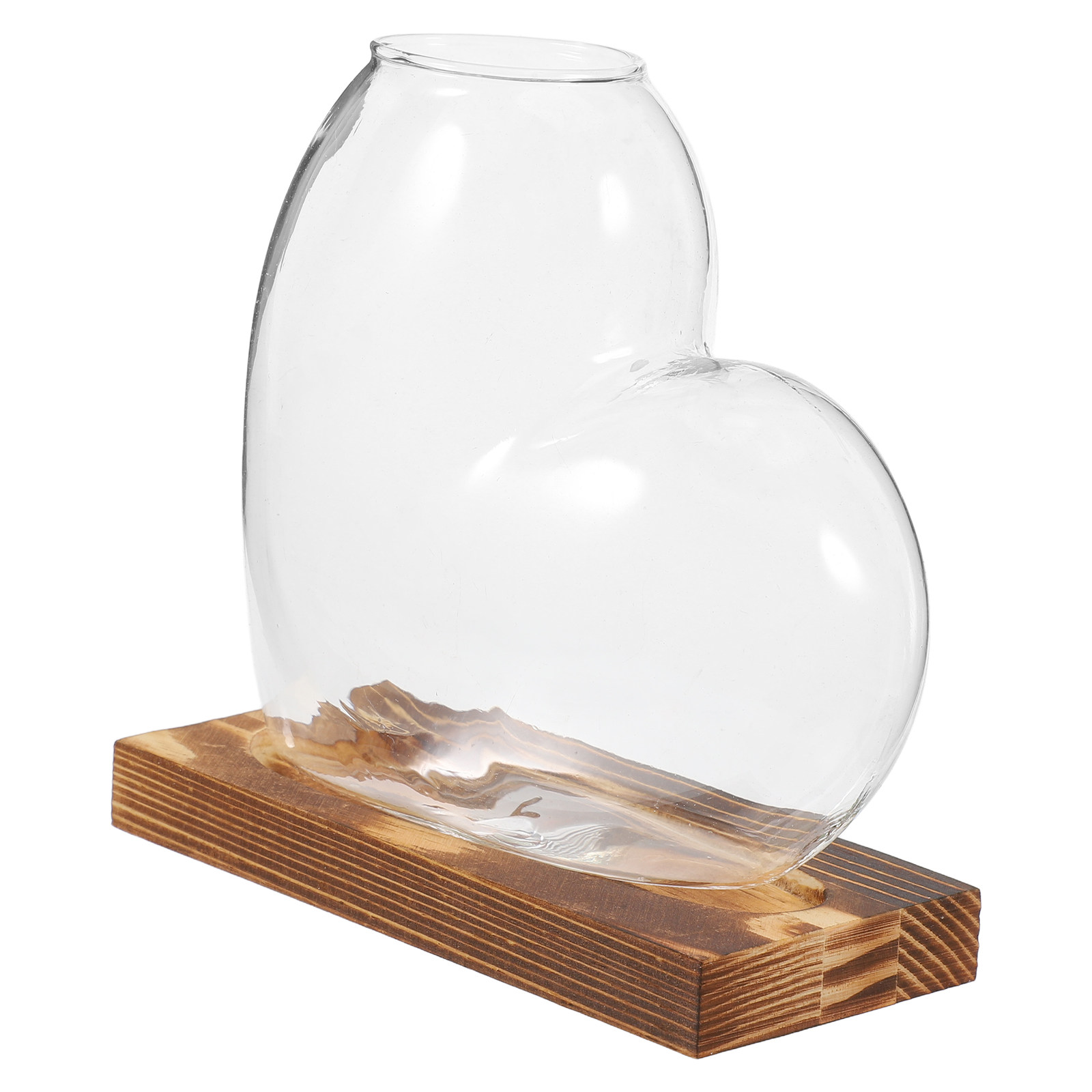 Hydroponic Glass Vase Transpar - Propagation Station Vase ulasan dan harga