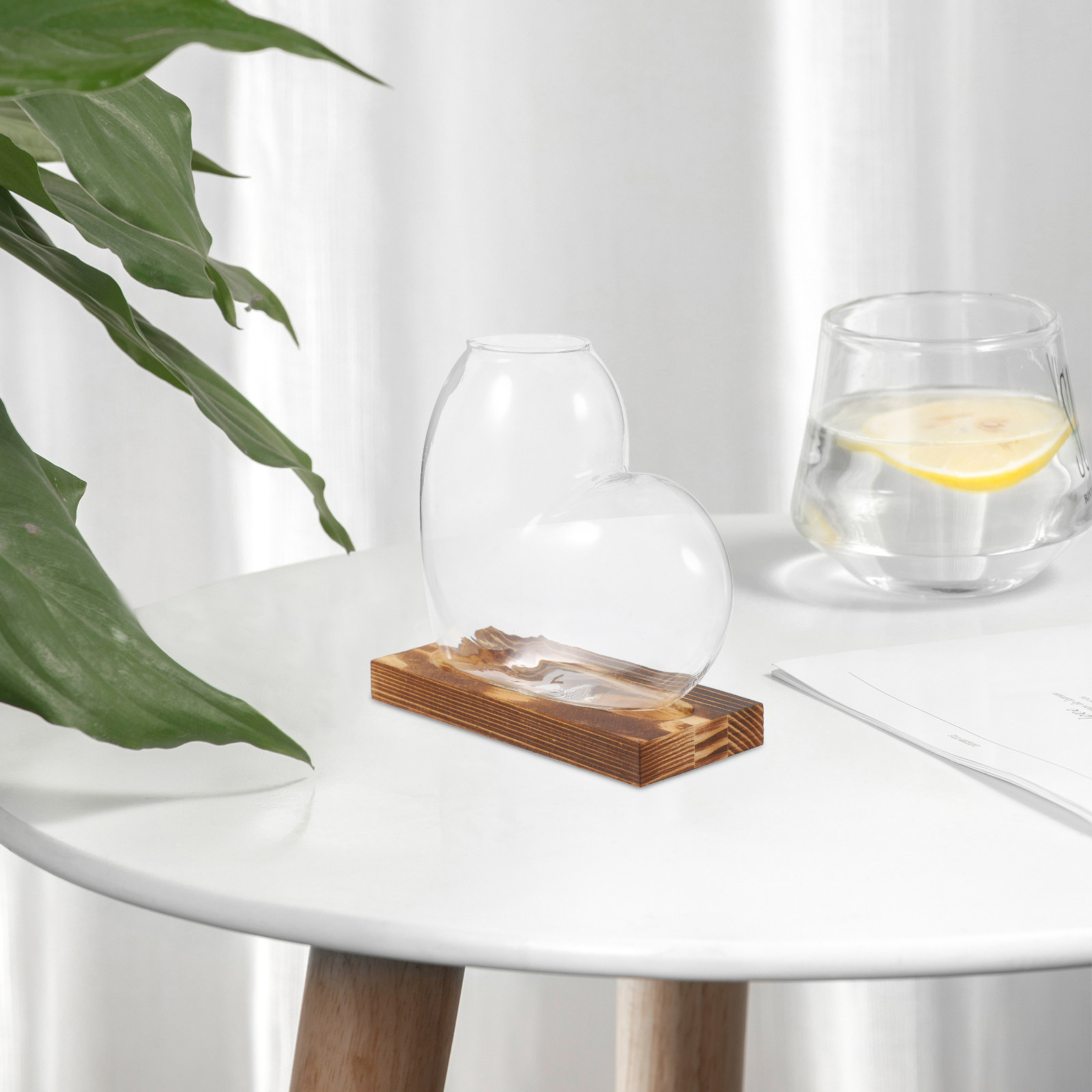 Hydroponic Glass Vase Transpar - Propagation Station Vase ulasan dan harga