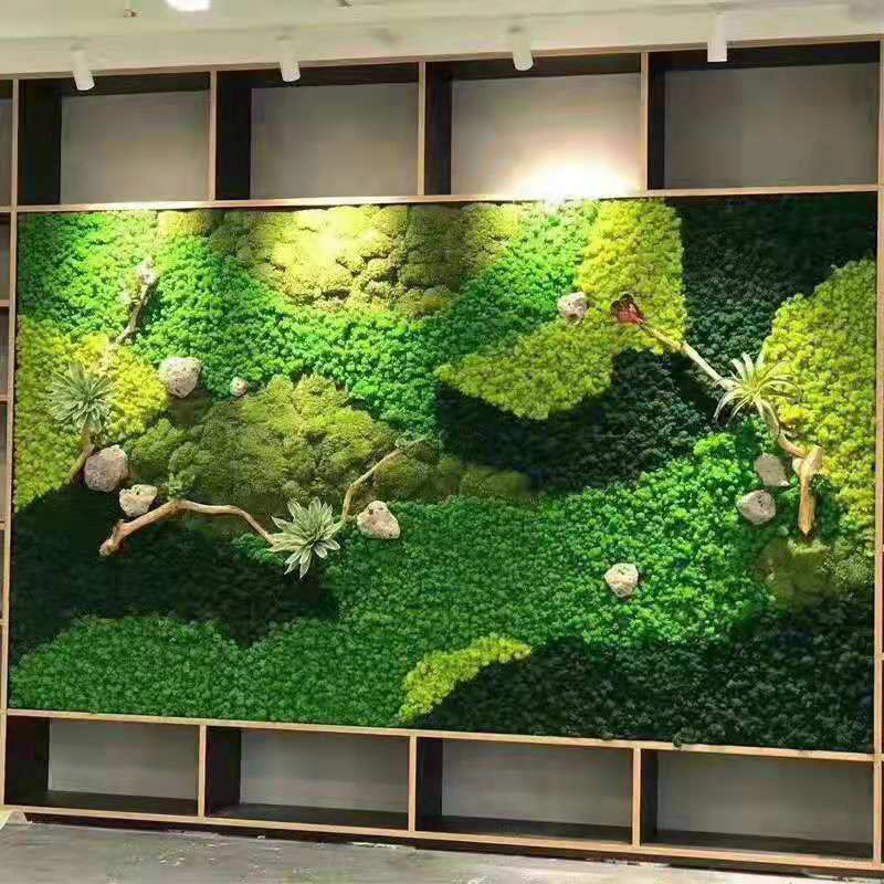 20g Artificial Green Moss Plan - Sphagnum Moss Dry ulasan dan harga