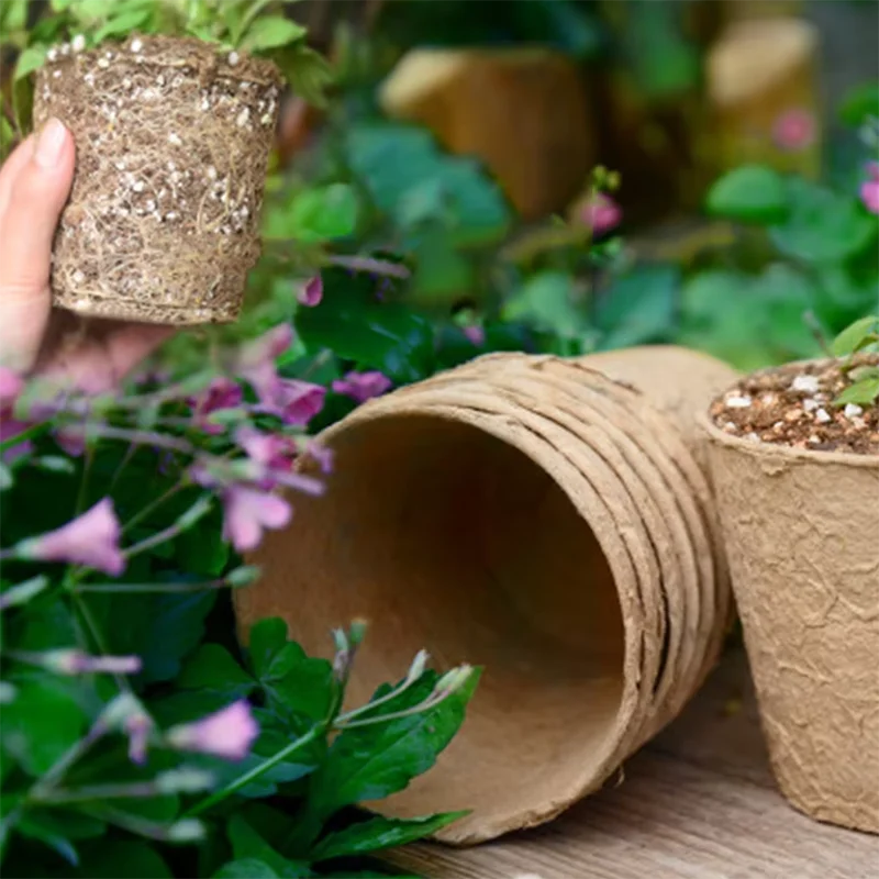 50 Pcs  Garden Round Peat Pots - Peat Pellet Tray ulasan dan harga