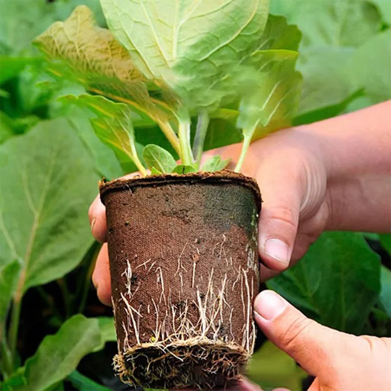 50 Pcs  Garden Round Peat Pots - Peat Pellet Tray ulasan dan harga