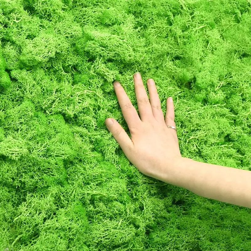 Artificial Green Plant Moss Gr - Sphagnum Moss Dry ulasan dan harga