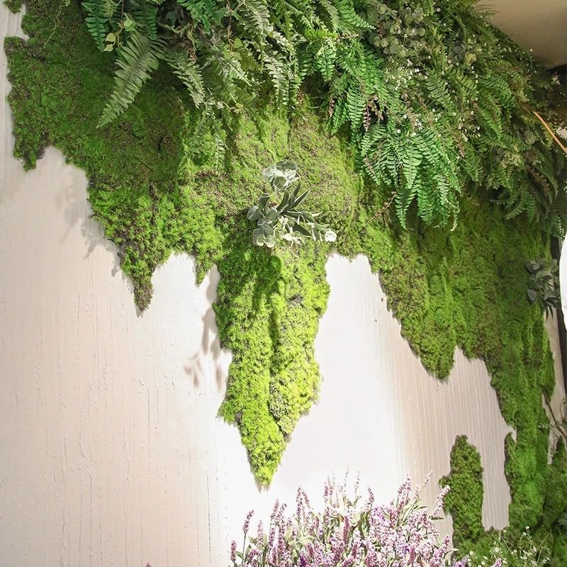 Artificial Green Plant Moss Gr - Sphagnum Moss Dry ulasan dan harga